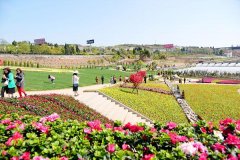 广元利州区：花花世界花卉博览园将于4月12日正